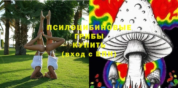 тгк Кинешма