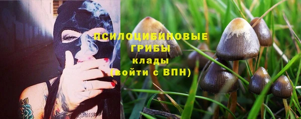 МДМА Киреевск