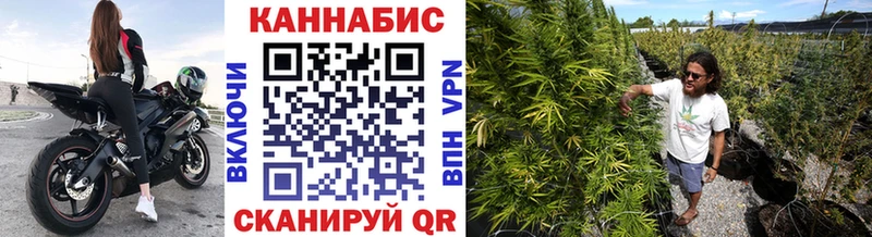 Марихуана Bruce Banner Серафимович